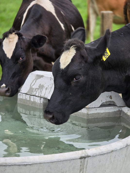 Concrete Water Trough